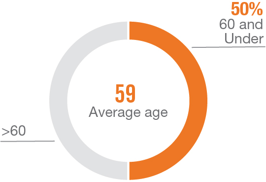 03_427857(3)_piechart_boardoverview_Age.jpg